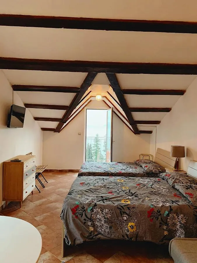 Apartment Villa Mihaela Icici